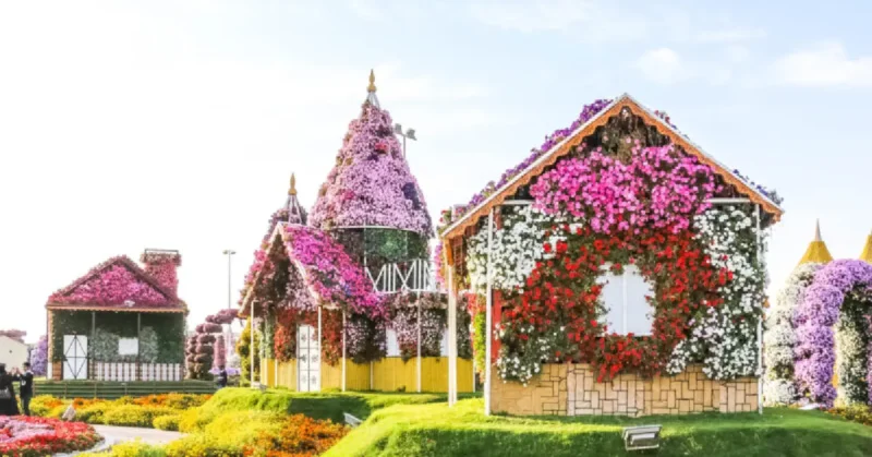 Dubai Miracle Garden