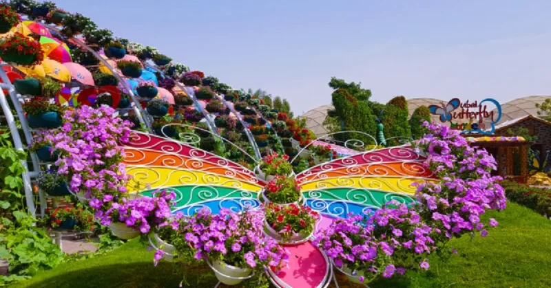 dubai miracle garden photos
