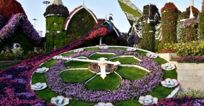 miracle garden location