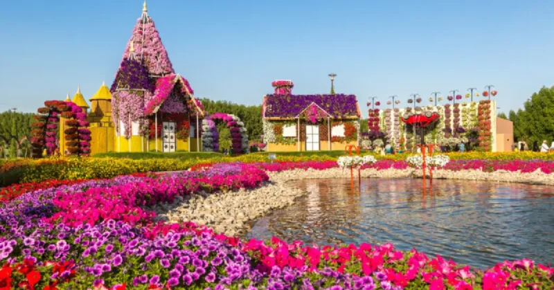 dubai miracle garden photos