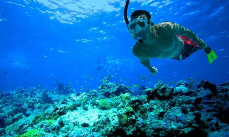 Suba diving Ras Al Khaimah 