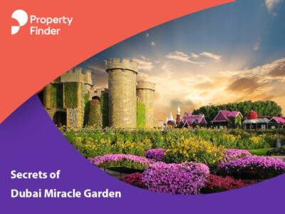 dubai miracle garden 2020