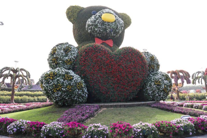 big teddy bear dubai miracle garden