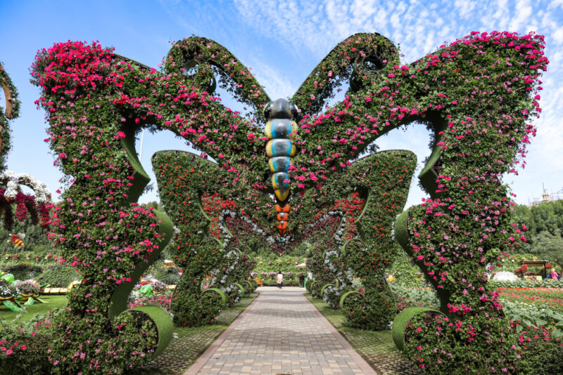 butterfly passage dubai miracle garden