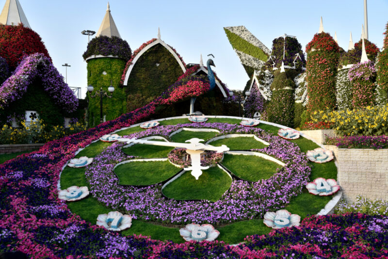floral clock dubai miracle garden