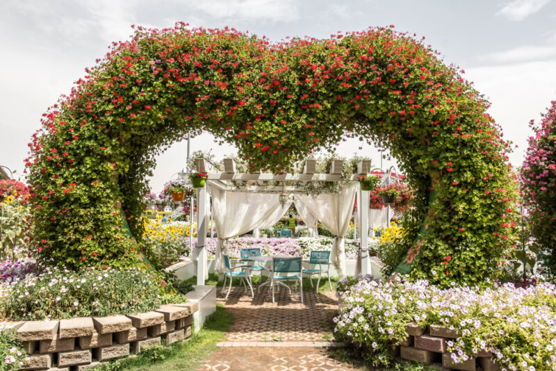 cabanas dubai miracle garden