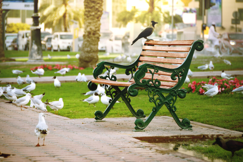 square parks in sharjah