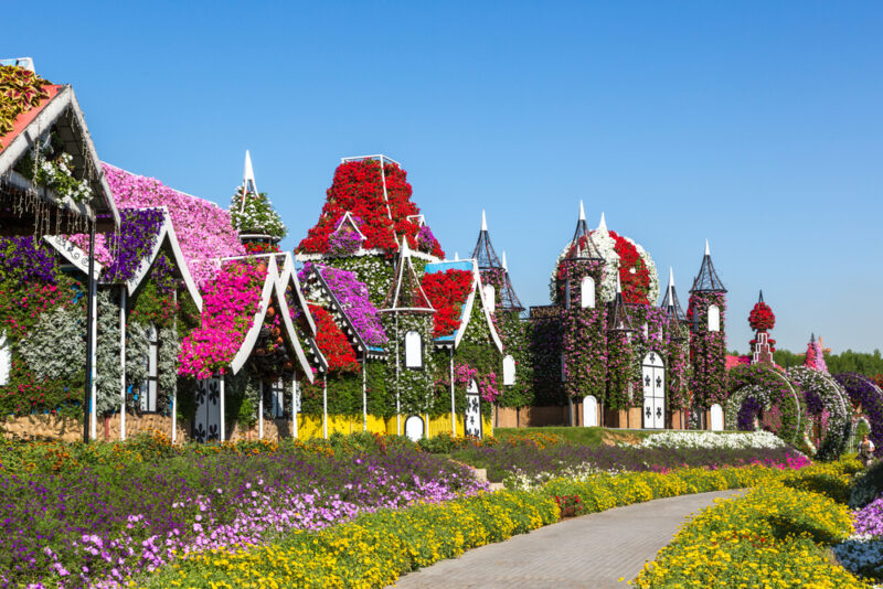 about dubai miracle garden