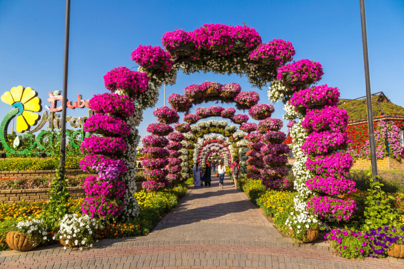 dubai miracle garden open