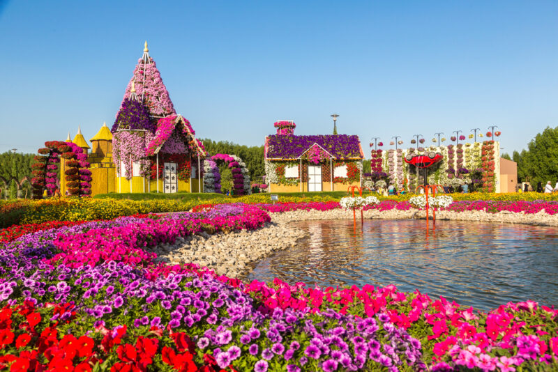 lake park dubai miracle garden