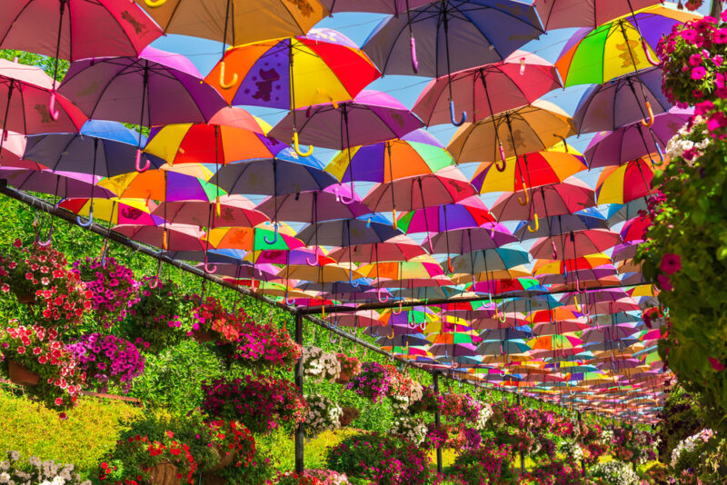 umbrella passage dubai miracle garden
