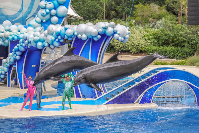 sea world yas island