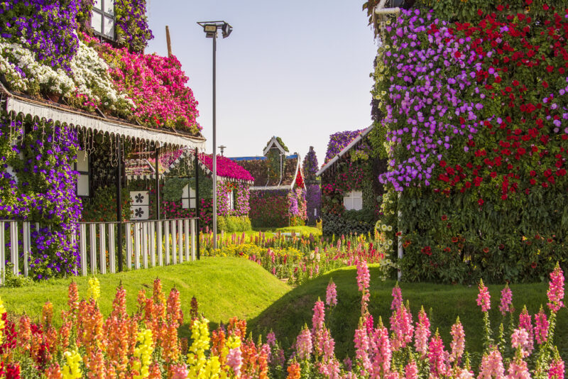 lost paradise dubai miracle garden