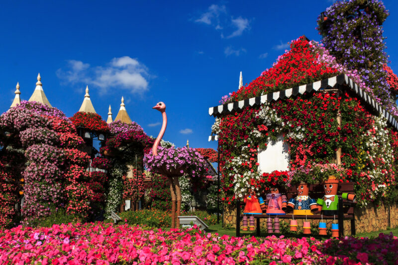 dubai miracle garden tour