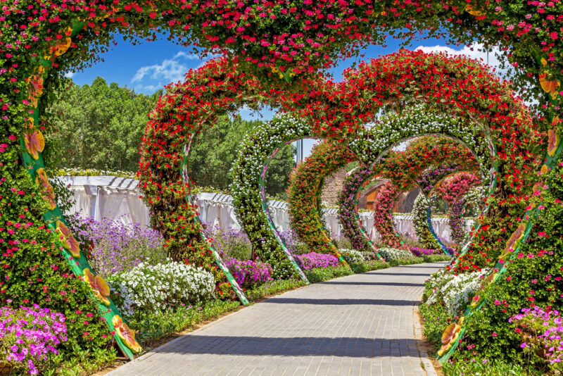 hearts passage dubai miracle garden