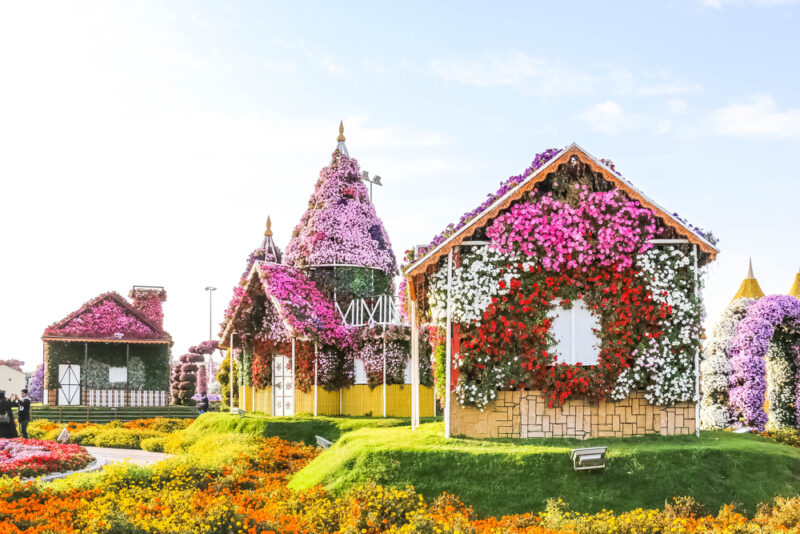 the beautiful dubai miracle garden