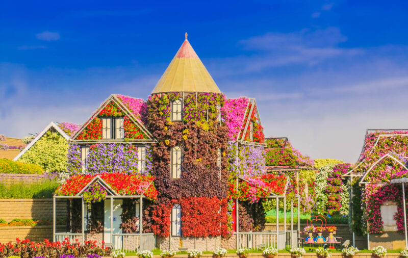 floral castle dubai miracle garden