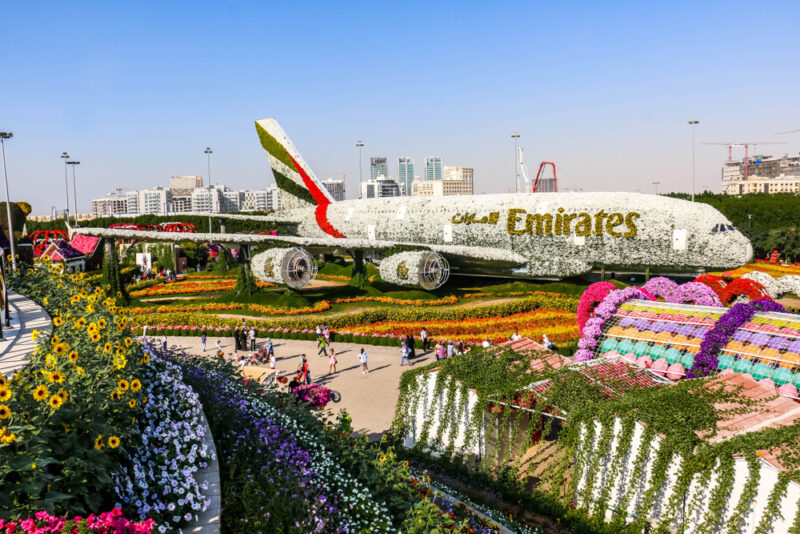 emirates dubai miracle garden