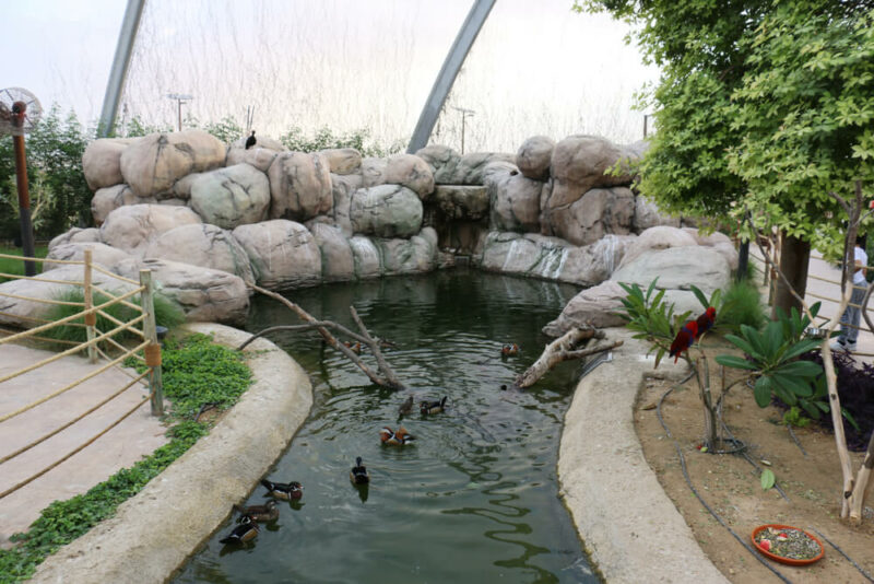Dubai Safari Park Al Warqa
