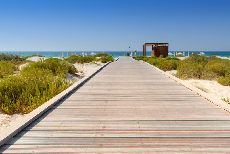 saadiyat beach