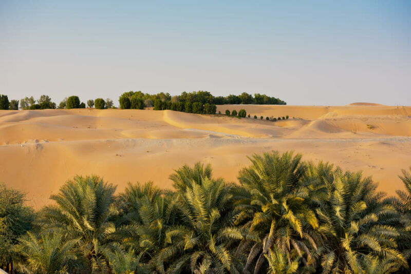 Liwa Abu Dhabi camping