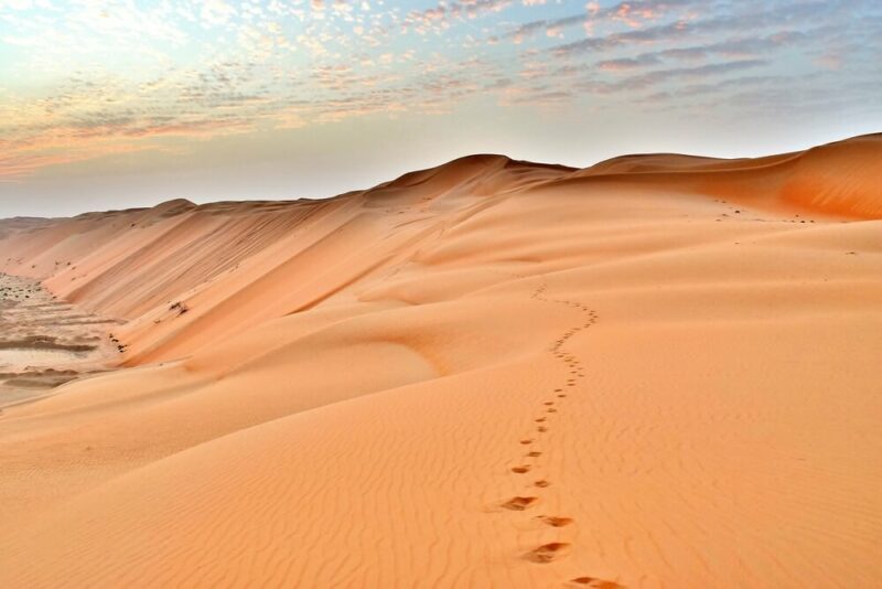 The Empty Quarter