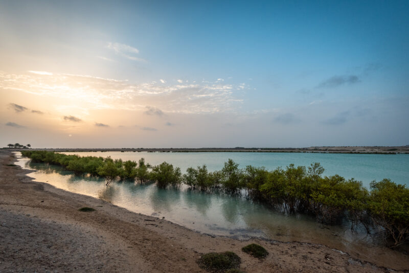 sir bani yas island abu dhabi