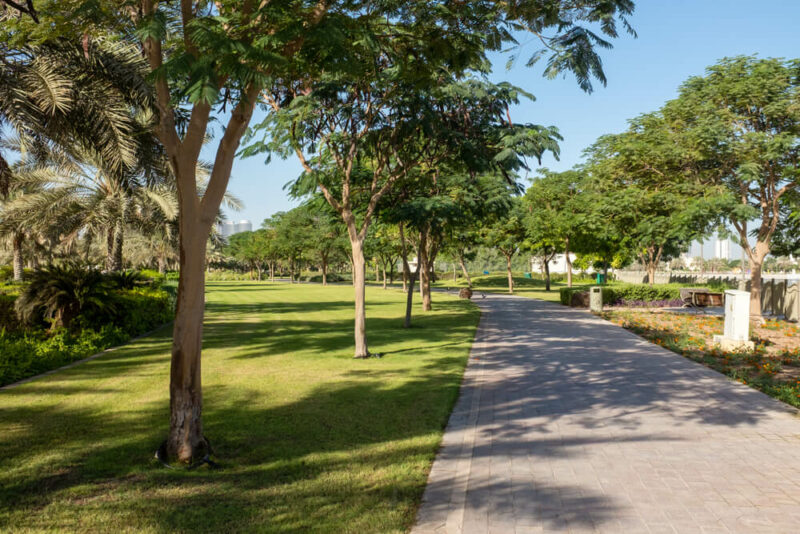 Al Barsha Pond Park, Dubai