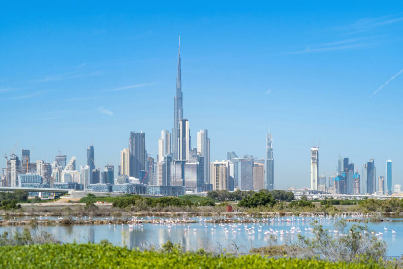 Ras Al Khor Sanctuary Dubai