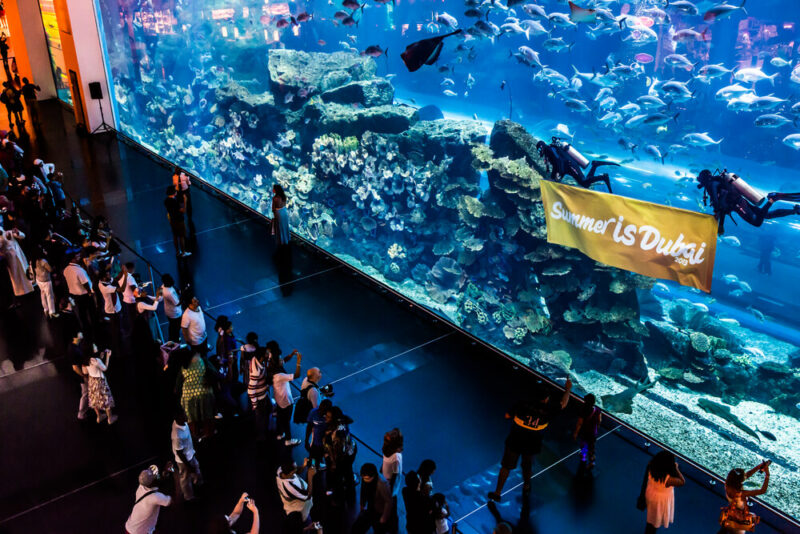 things to do in Dubai Mall for free