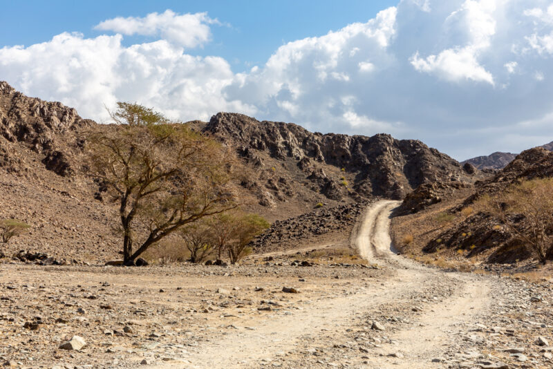 hiking trails