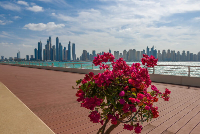top free things to do in Dubai