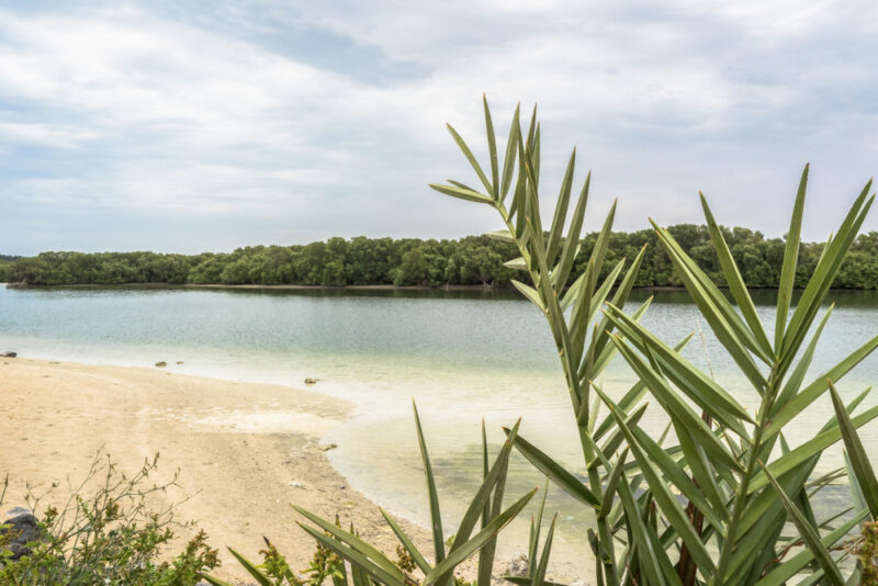 al gurm corniche park