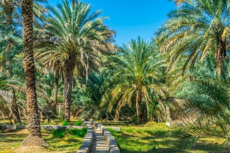 places to visit in Al Ain 