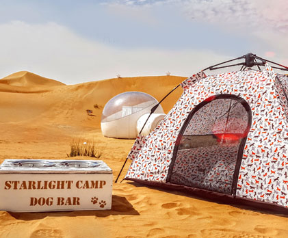 best glamping sites in uae