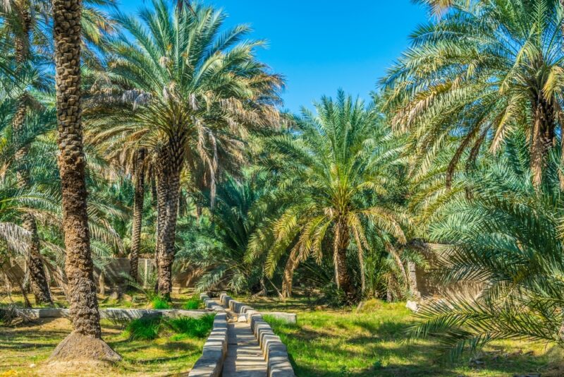 abu dhabi sightseeing