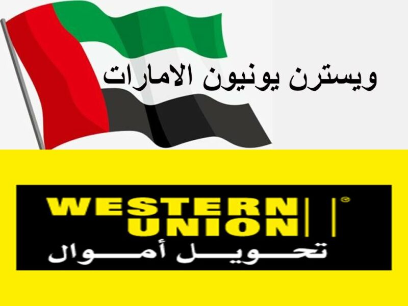 دفع فواتير ديوا
