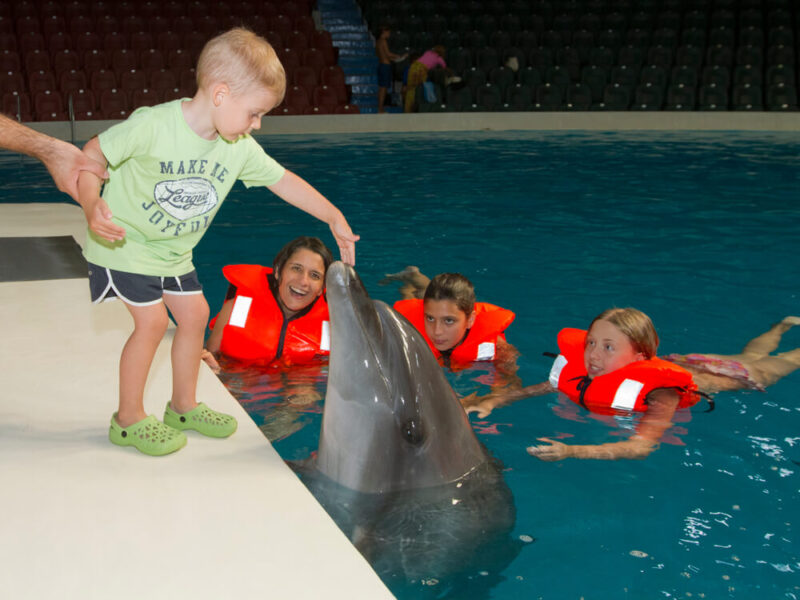 Dubai Dolphinarium 