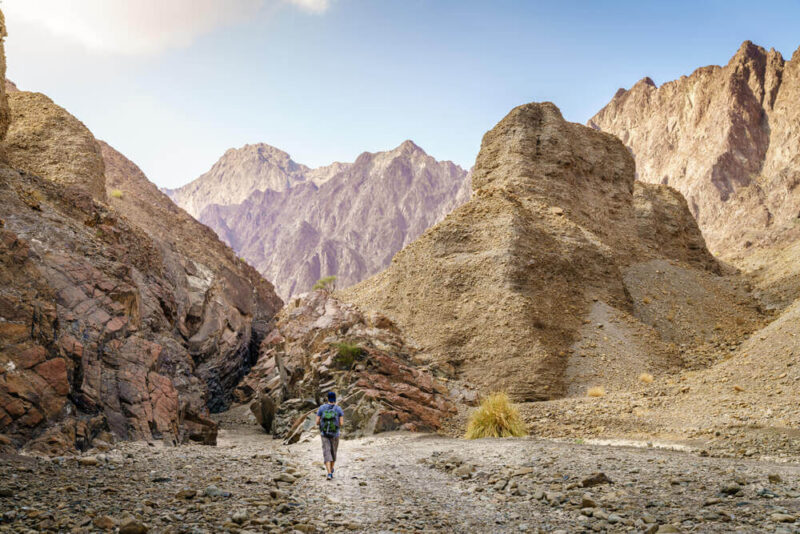 hatta dubai activities