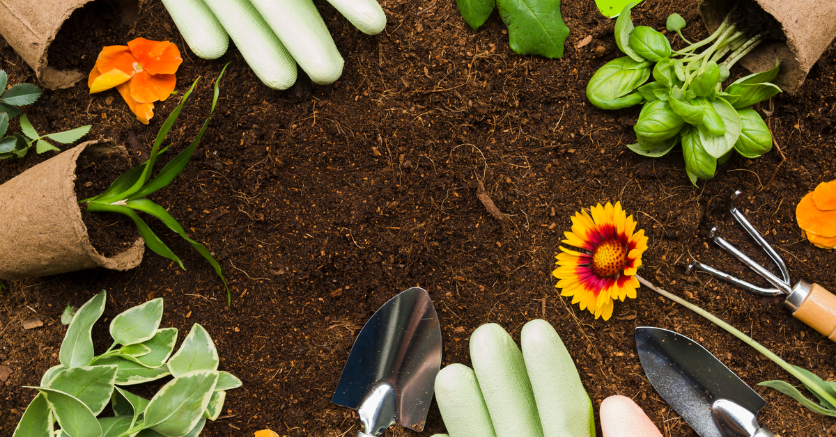 Top view gardening tools and plants