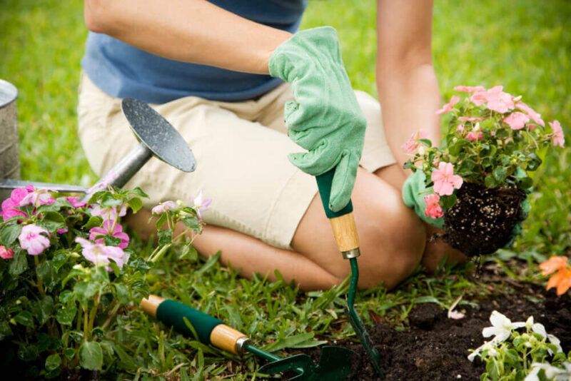 best landscaping companies in Dubai