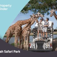 Sharjah Safari Park: Your Doors to Africa