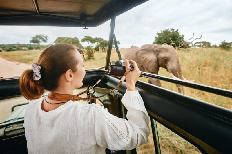 Sharjah Safari Park: Your Doors to Africa - Property Finder Blog UAE