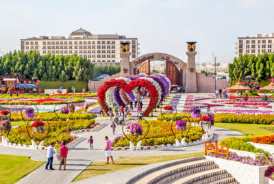 ميراكل جاردن