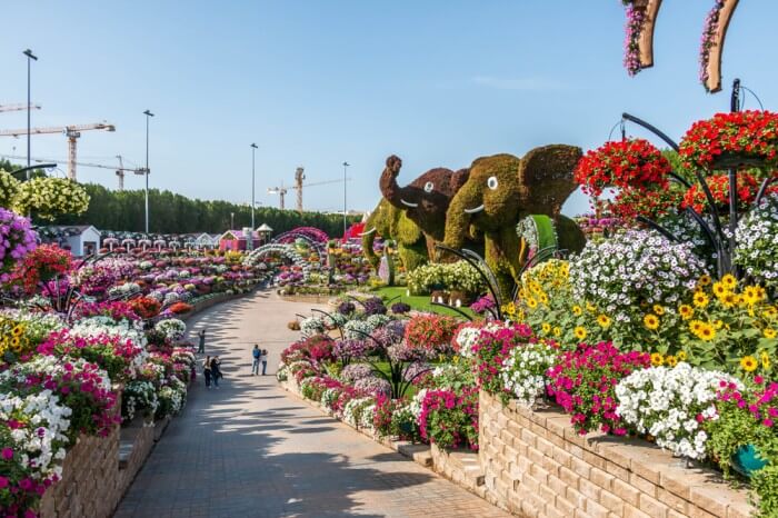 اين تقع حديقة الزهور في دبي