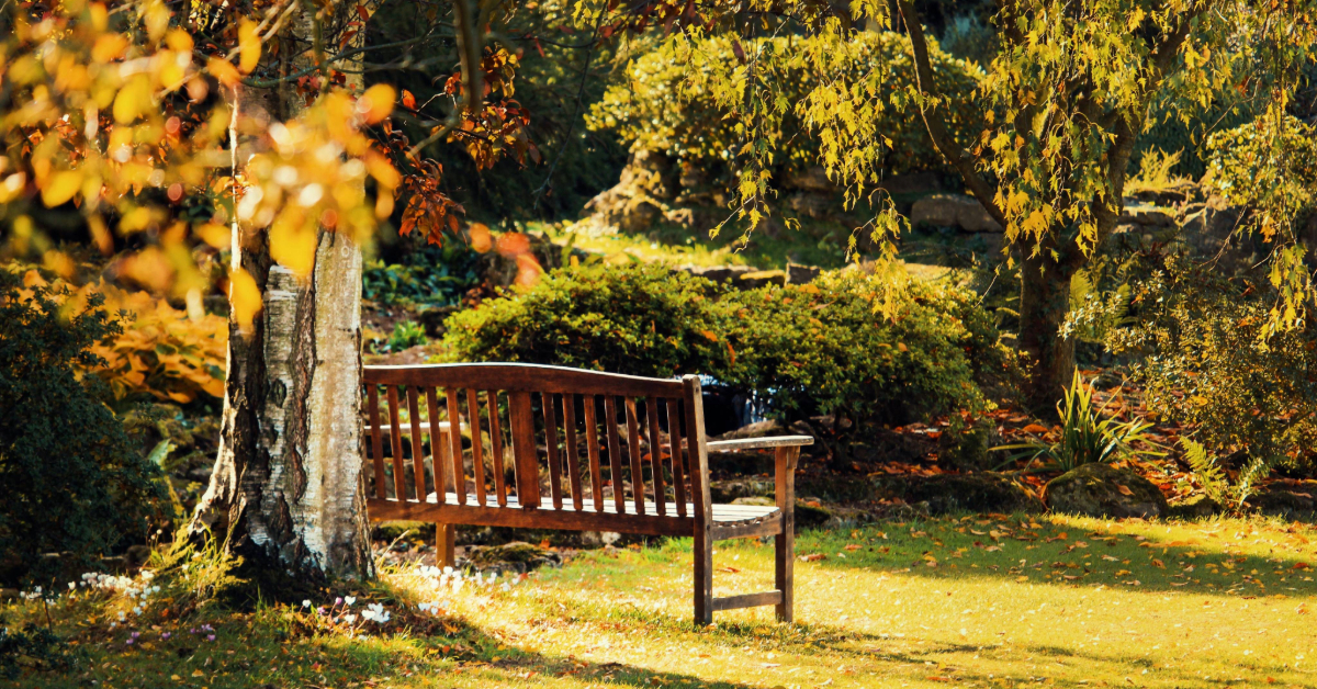 Brown bench at Town Square Park