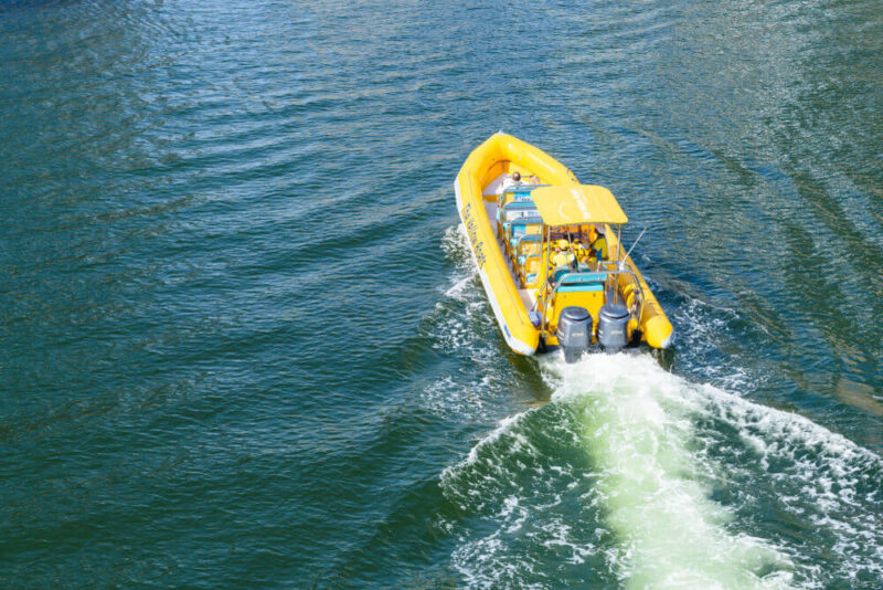 Speedboat Tour