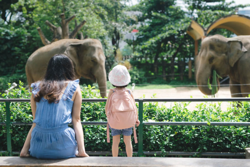 umm al quwain zoo