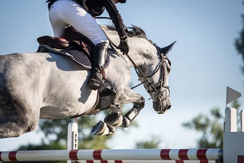 sustainable city equestrian club dubai