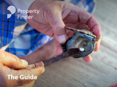 Your Full Guide to Suwaidi Pearls Farm